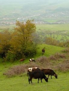 Karabakh