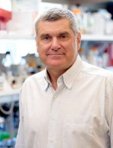 Craig B. Thompson