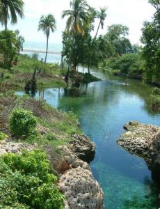 Gut River