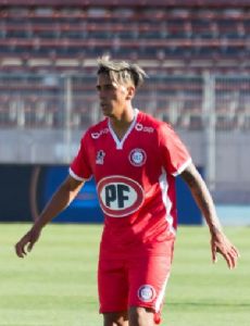 Andrés Vilches