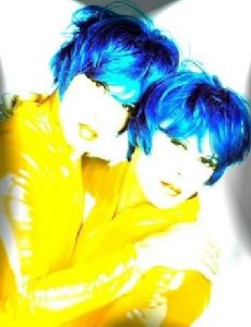 The Fabulous Wonder Twins