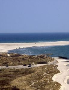 Grenen