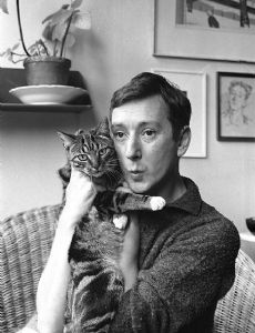 Albert Mol