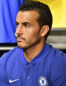 Pedro Rodríguez Ledesma