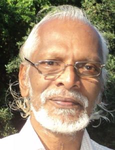 Sreekrishnapuram Krishnankutty