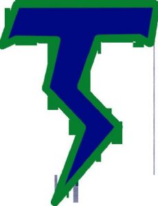 Mountain View High School (Washington)