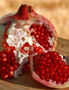 Goychay Pomegranate Festival