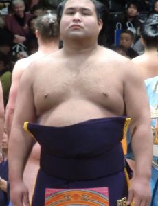 Takayasu Akira