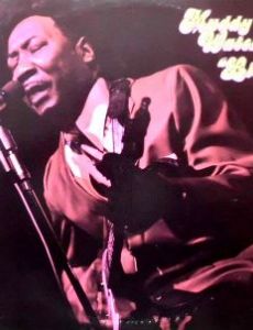 Live at Mr. Kelly's