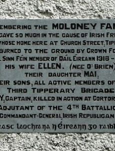 P. J. Moloney
