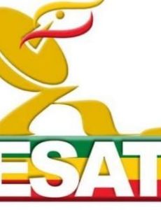 ESAT