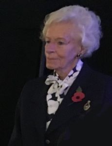 Mary Ellis (pilot)