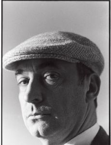 Johan Anthierens