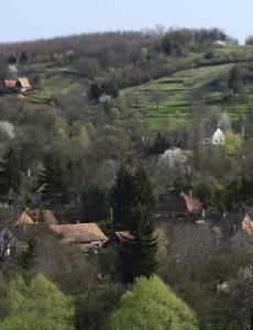 Simonfa