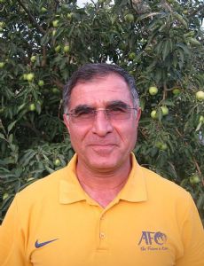 Majid Jalali