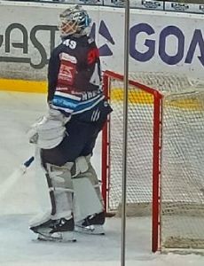 Dominik Hrachovina