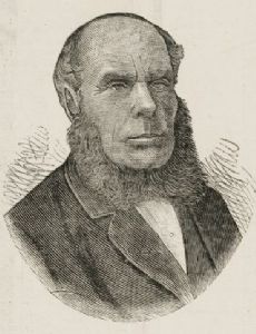 Alexander Stuart (Australian politician)