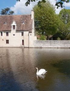 Abbey of Saint-Cyran-en-Brenne