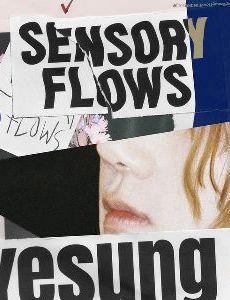 Sensory Flows