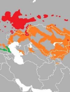 Kipchak languages