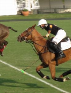 Gonzalo Pieres