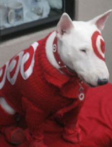 Bullseye (mascot)