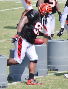 Tank Johnson