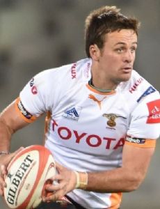 Willie du Plessis