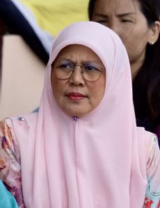 Romaizah Mohd Salleh