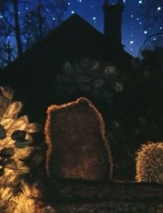 Hedgehog in the Fog
