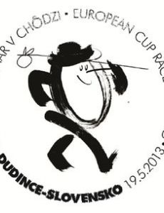 2013 European Race Walking Cup