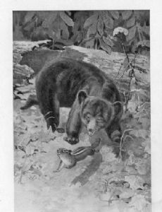 Charles Copeland (illustrator)