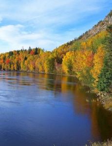 Newfoundland (island)