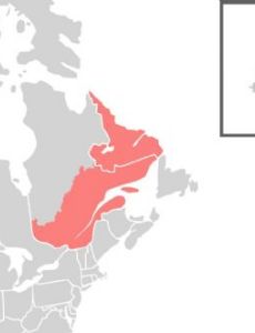 Lower Canada
