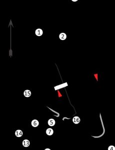 Indian motorcycle Grand Prix