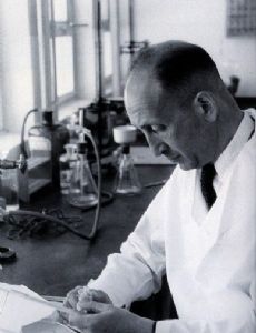 Haim Ernst Wertheimer