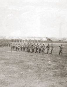 6th Rifle Division (Ukraine)