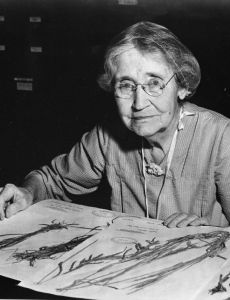 Mary Agnes Chase