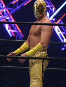 Ángel de Oro