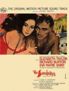 The Sandpiper