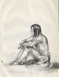 Yellow Wolf (Cheyenne)