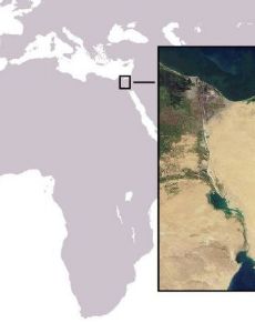 Lessepsian migration