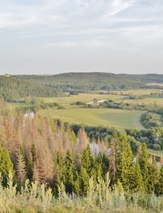 Urzhumka River