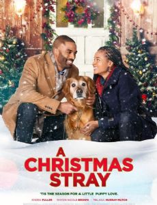 A Christmas Stray