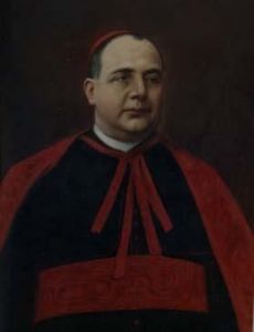 Luigi Tripepi
