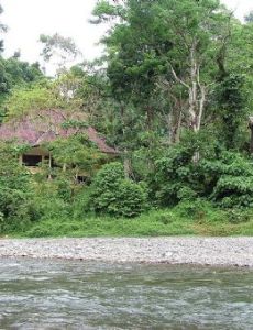 Mount Leuser National Park
