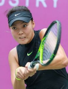 Feng Shuo
