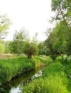 Woluwe