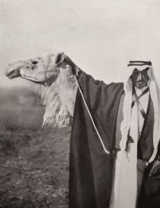Mithqal Al Fayez