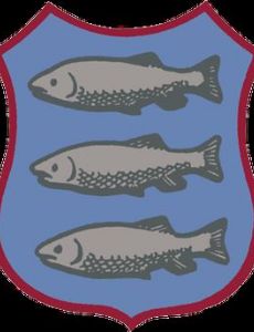 Newport (Salop) Rugby Union Football Club
